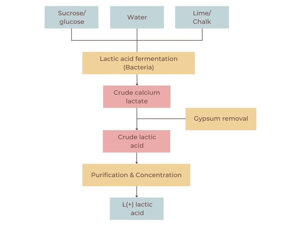 lactic acid fermentation diagram